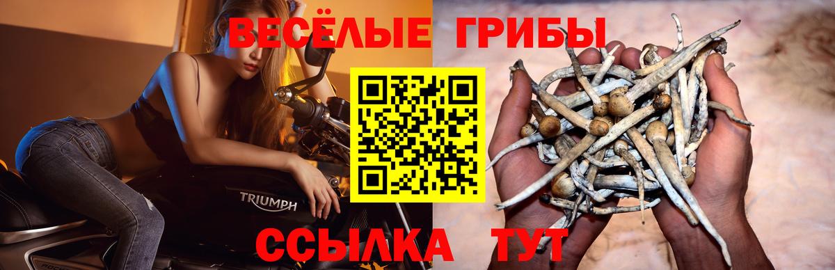 Галлюциногенные грибы MAGIC MUSHROOMS Семилуки